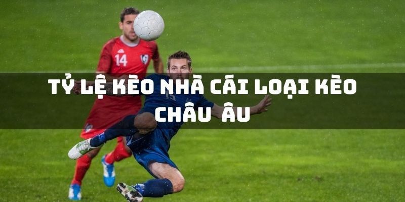 Soi kèo châu Âu GK88 chuẩn với kinh nghiệm từ chuyên gia