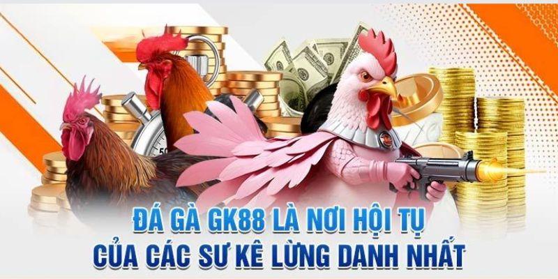 Vì sao kê thủ nên chơi tại sảnh đá gà GK88