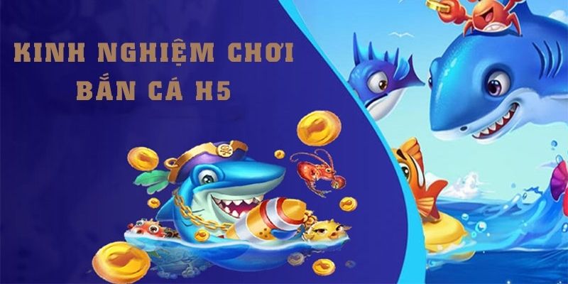 Những bí quyết săn cá H5 hay từ cao thủ